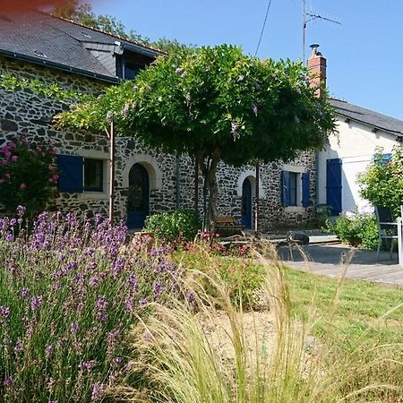 Murmures De Loire Montjean-sur-Loire 外观 照片
