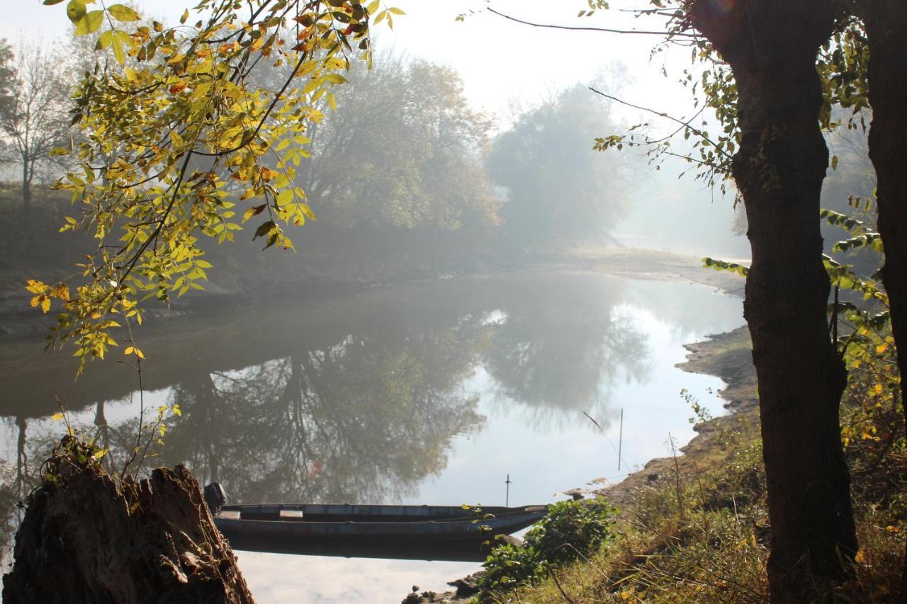 Murmures De Loire Montjean-sur-Loire 外观 照片