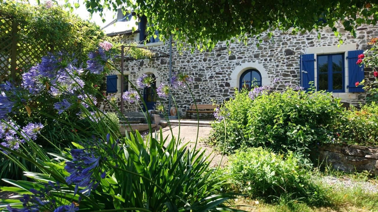 Murmures De Loire Montjean-sur-Loire 外观 照片