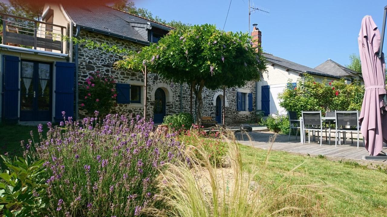 Murmures De Loire Montjean-sur-Loire 外观 照片